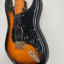 EMG aktive Partscaster