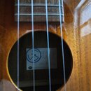 Prodám kvalitní tenorové ukulele