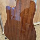 Crafter 12 String DE8-12/N