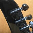 Epiphone Futura Custom Prophecy FX (Midnight Ebony)