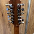 Crafter 12 String DE8-12/N