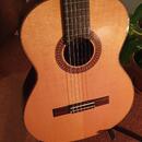 Celomasivní Martinez Custom Shop MCG-130S