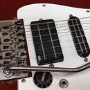 Stratocaster ESP