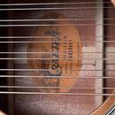 Crafter 12 String DE8-12/N