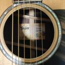 Taylor 816CE Builder's Edition