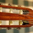 Otto SCHNEIDER - Classic Guitar