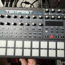 Dave Smith Instruments TEMPEST