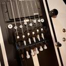 Schecter DJ Ashba Satin White