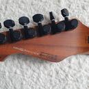 Nehraná barytonová 7strunka ESP LTD TE1007B