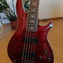 Schecter Omen Extreme 5
