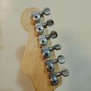 Fokus Stratocaster HSS - prodáno