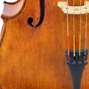 Mistrovské violoncello model Montagnana 