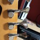 Fender Deluxe Zone Bass V