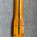 EMG aktive Partscaster