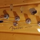 Sadowsky Metro Express s Fender Player 2 Jazz Bass krkom