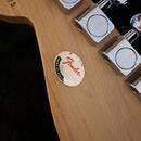 Fender Stratocaster USA org