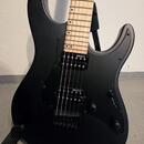 ESP LTD SN-200HT