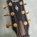 Taylor 816CE Builder's Edition