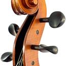 Mistrovské violoncello model Montagnana 