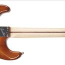 NOVÁ CENA: Fender American Performer Stratocaster (U.S.A.)