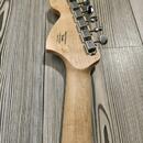 Fender squier paranormal esquire deluxe