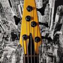  Baskytara Bass Maniac Tune TBJ52 NT