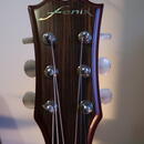 Fenix XL-30