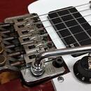 Stratocaster ESP
