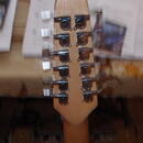 12strunný Telecaster
