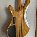 Ibanez SRX 700