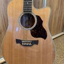 Crafter 12 String DE8-12/N