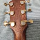 Taylor 816CE Builder's Edition