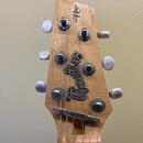 Godin Radiator Performance Series