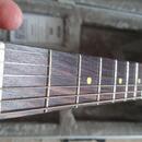 Reverend Charger HB