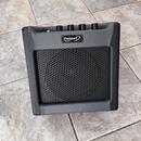 Fender Passport mini