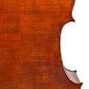 Mistrovský kontrabas 3/4 model Amati 2023