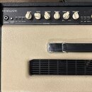 EGNATER Renegade 65 2x12 kombo