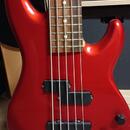 Fender Deluxe Zone Bass V