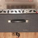 PEAVEY DeltaBlues 210