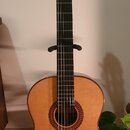 Celomasivní Martinez Custom Shop MCG-130S