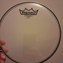 Remo Ambassador 8"