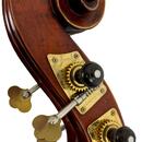 Mistrovský kontrabas 3/4 model Amati 2023