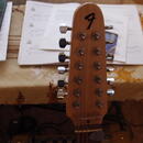 12strunný Telecaster