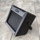 Fender Passport mini