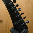 Epiphone Futura Custom Prophecy FX (Midnight Ebony)