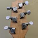 Godin Radiator Performance Series