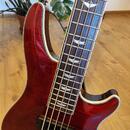 Schecter Omen Extreme 5