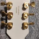 Gretsch 5422 TG