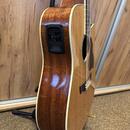 Crafter 12 String DE8-12/N