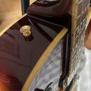 Ibanez Artstar AF120 VS Korea 1995 hollowbody lubove